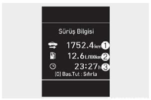 Sürüş Bilgisi ekranı