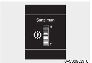 Şanzıman