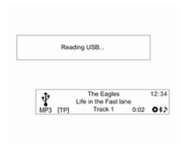 USB Depolama Aygıtının bağlanması